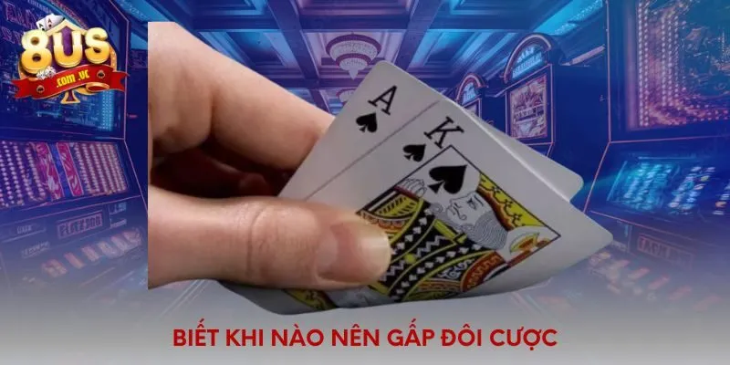 Biết khi nào nên gấp đôi cược